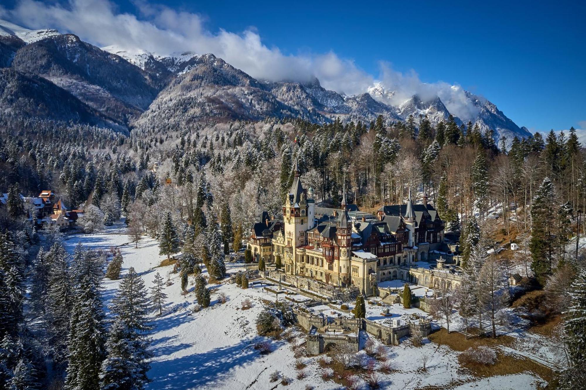 The Cozy Deer Apartment Sinaia Exteriör bild