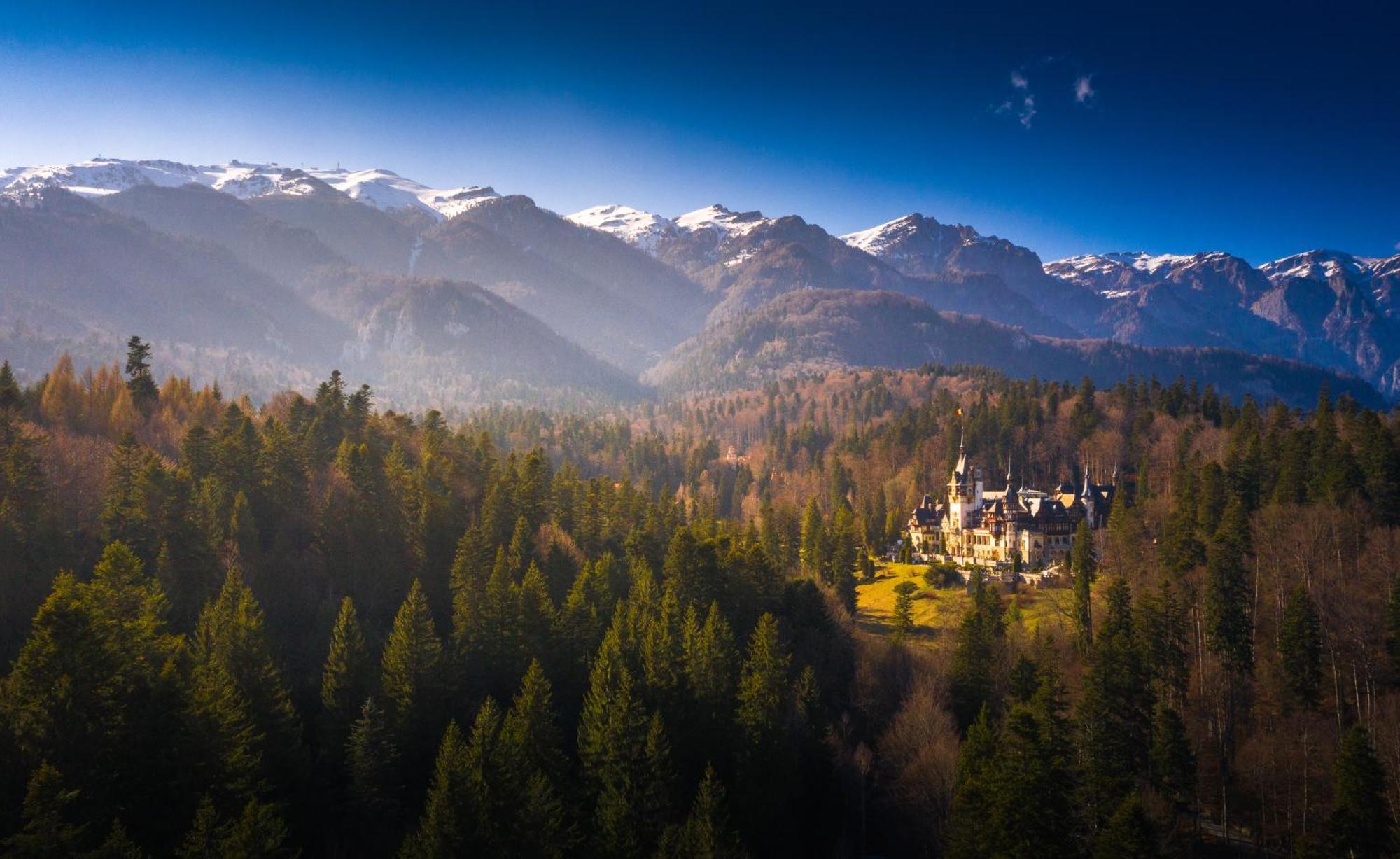 The Cozy Deer Apartment Sinaia Exteriör bild